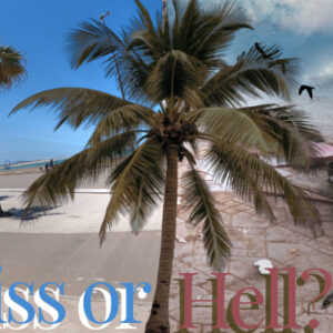 Split Photoshop photo of two of my photographs one of a clear Blue sky palm trees near beach but by a Street with cars in the background. The right side is of a snake charmer sitting on the floor with his back to the camera wearing a red shirt besides him or two snakes on the ground a big palm tree is in the middle of both pictures and below the picture reads bliss or hell this is to symbolise moon in IC line.