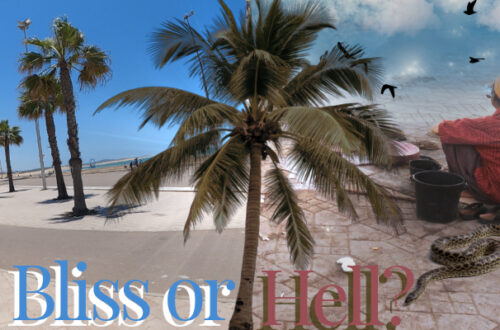 Split Photoshop photo of two of my photographs one of a clear Blue sky palm trees near beach but by a Street with cars in the background. The right side is of a snake charmer sitting on the floor with his back to the camera wearing a red shirt besides him or two snakes on the ground a big palm tree is in the middle of both pictures and below the picture reads bliss or hell this is to symbolise moon in IC line.