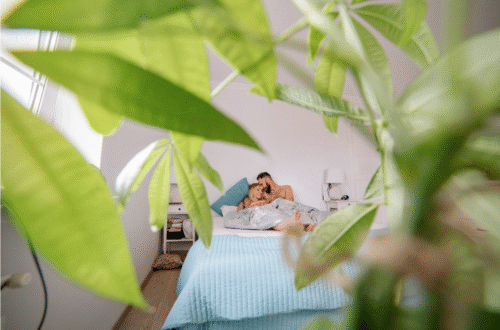 A photograph of peaking through plants to see a couple in bed to represent not being introduced to friends and family