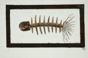 A framed skeleton fish structure in a wooden frame to symbolize Pisces relationship with