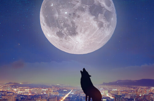 A nearly full moon hanging low over dark tower blocks or rooftops with a wolf howling at the moon. The city below in shadow or minimal scattered lights